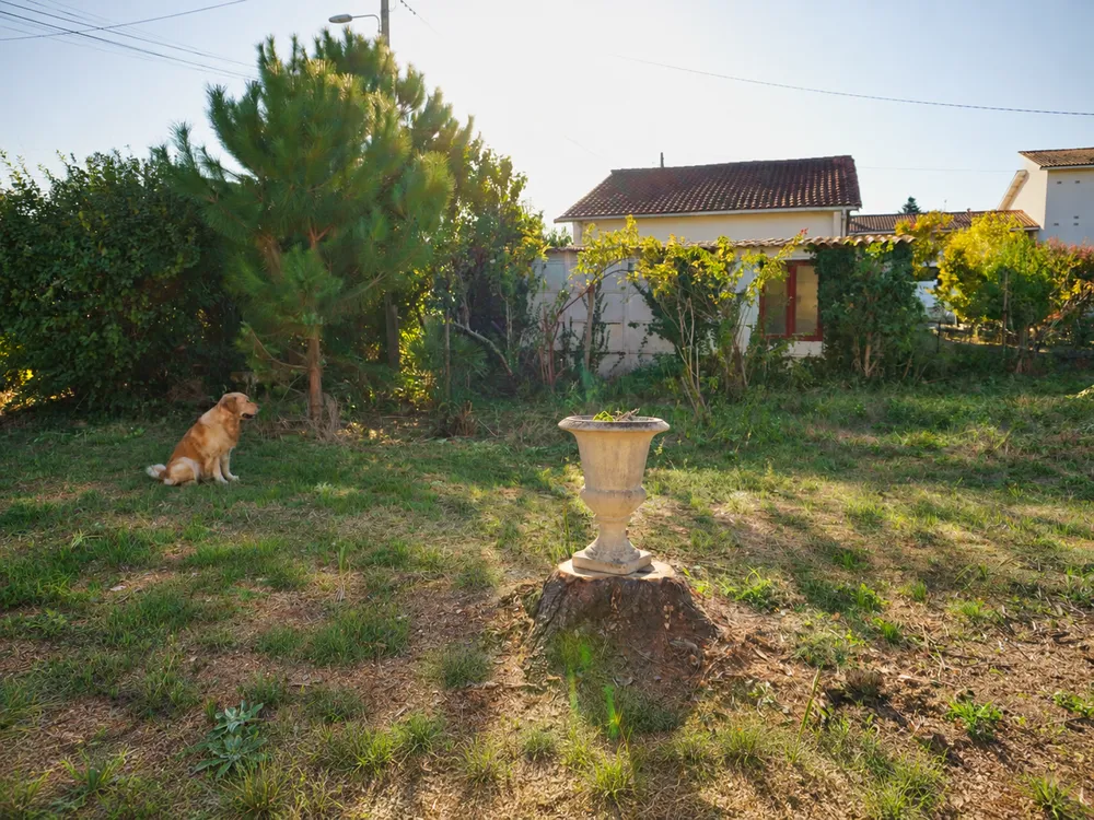 Terrain