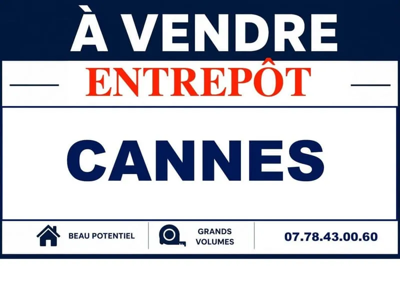 Local d'activité