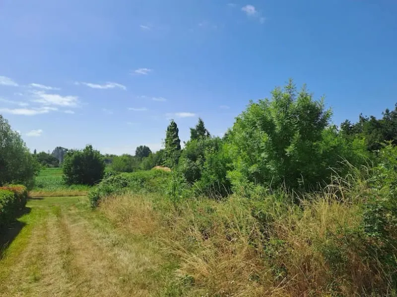 Terrain