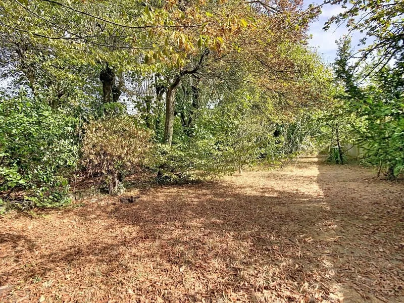 Terrain