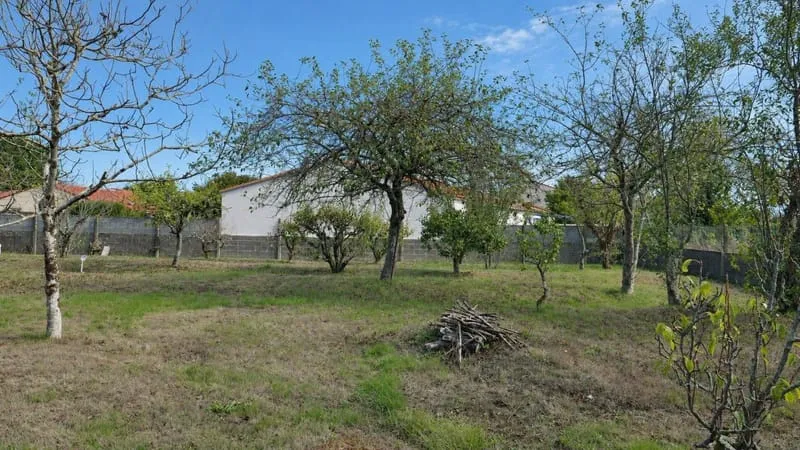 Terrain