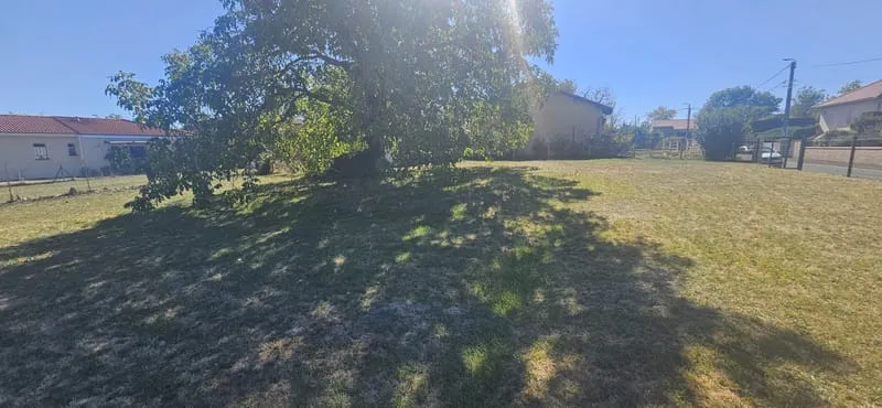 Terrain