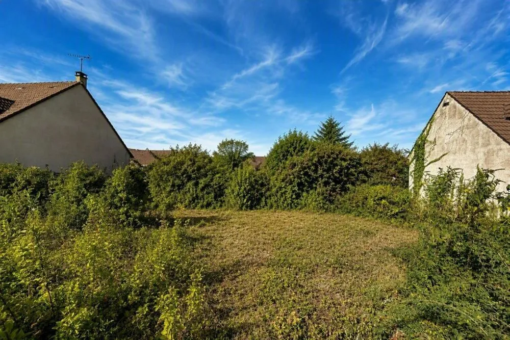 Terrain