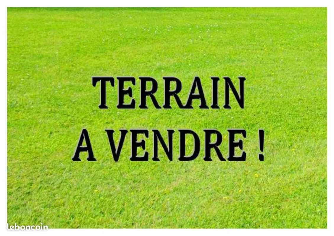 Terrain