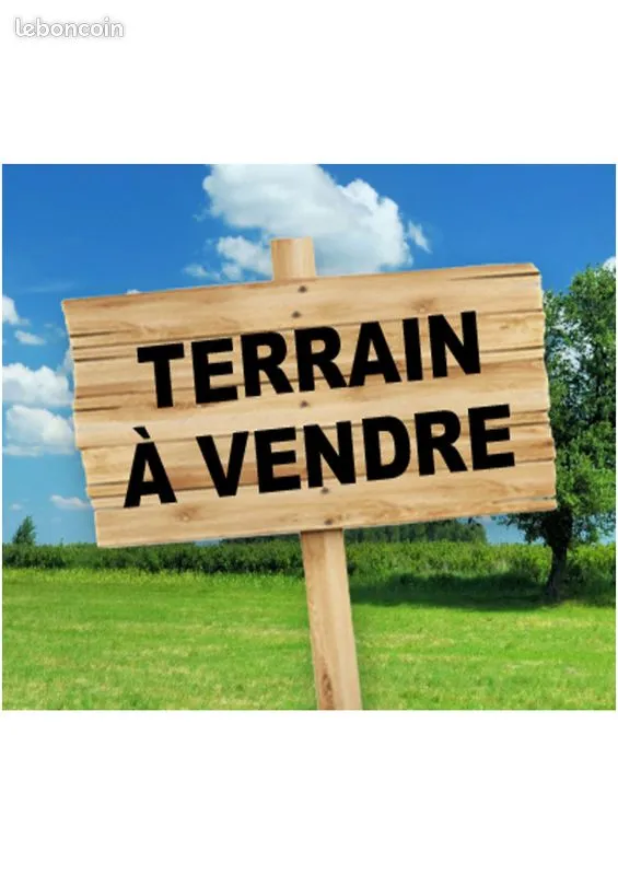 Terrain