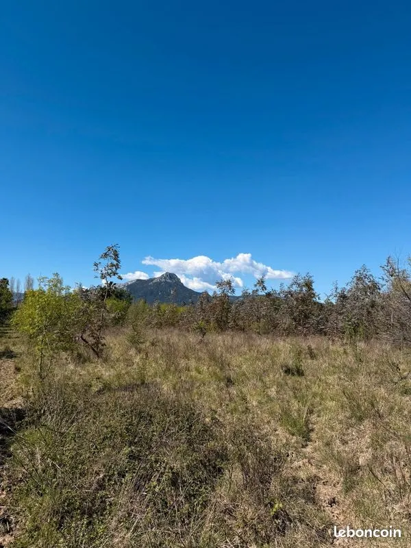 Terrain