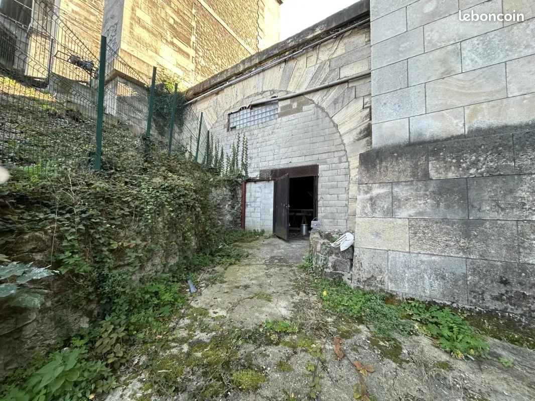Local d'activité