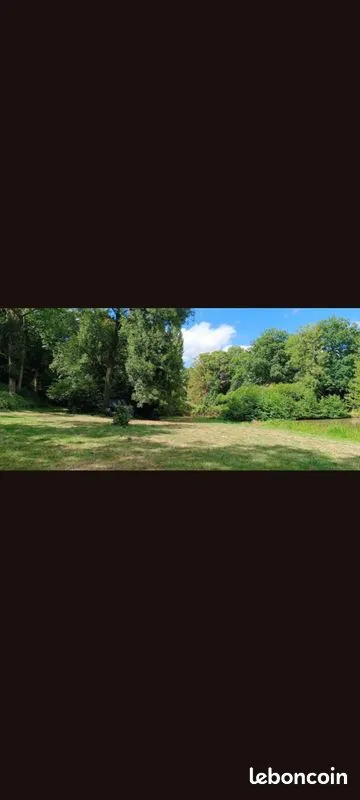 Terrain