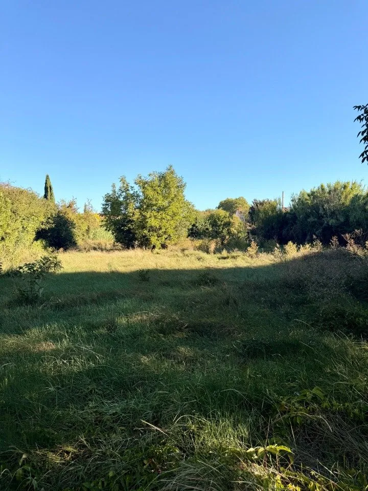 Terrain