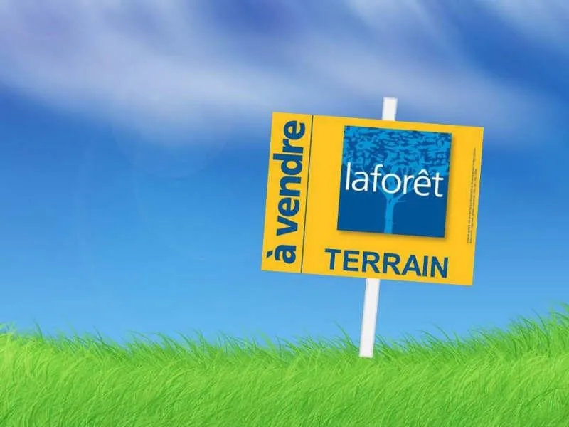 Terrain