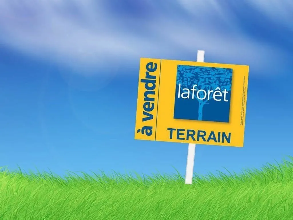 Terrain