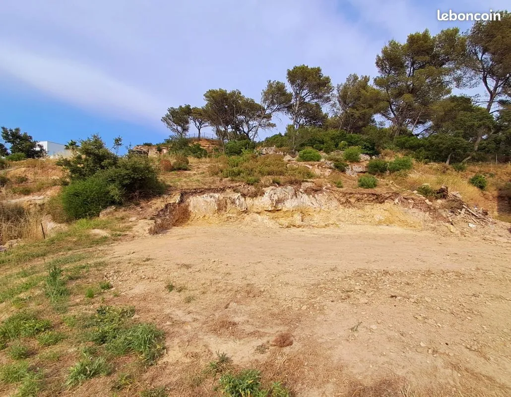 Terrain