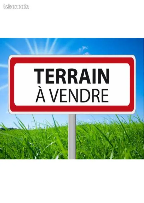 Terrain