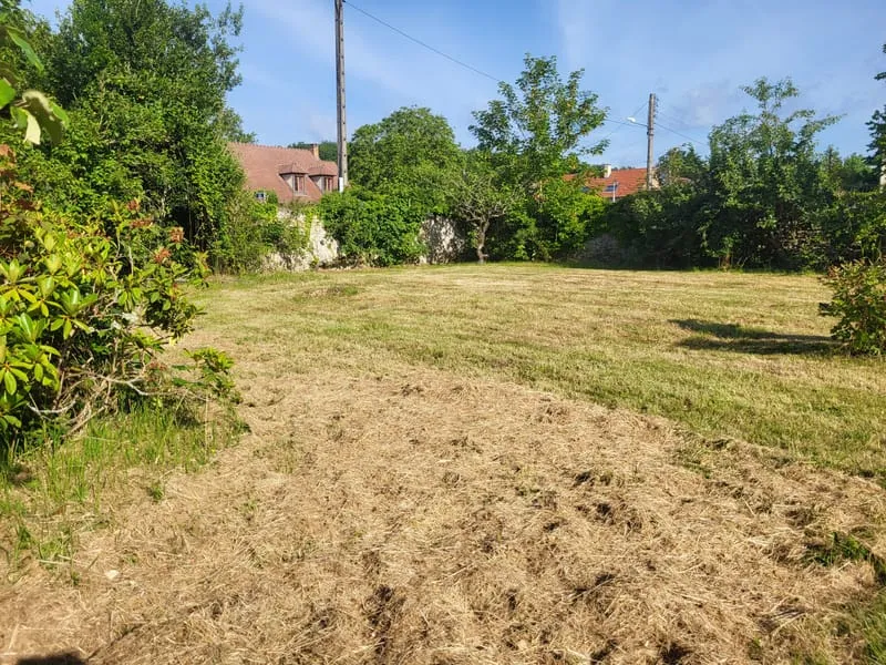Terrain