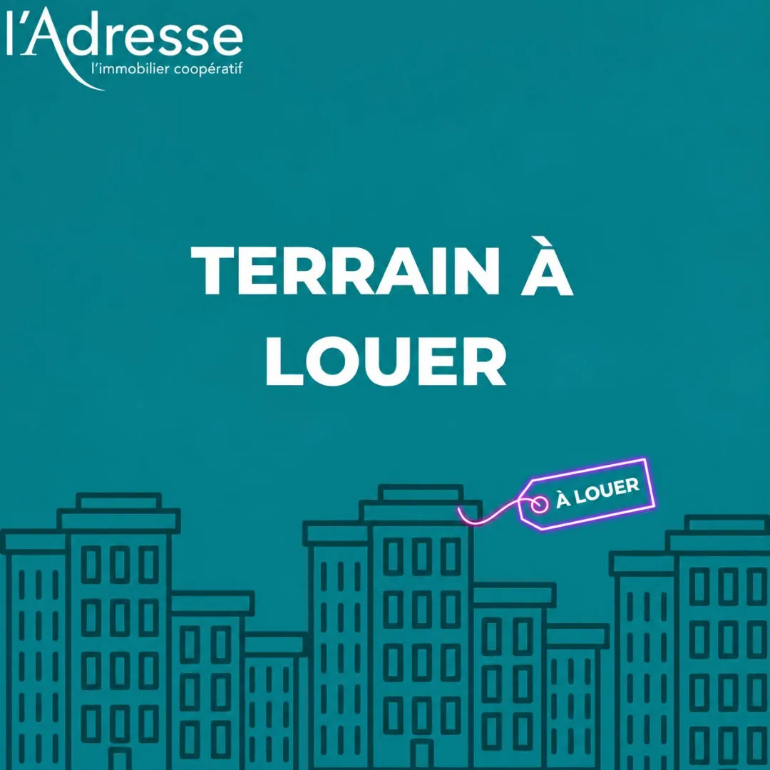Terrain