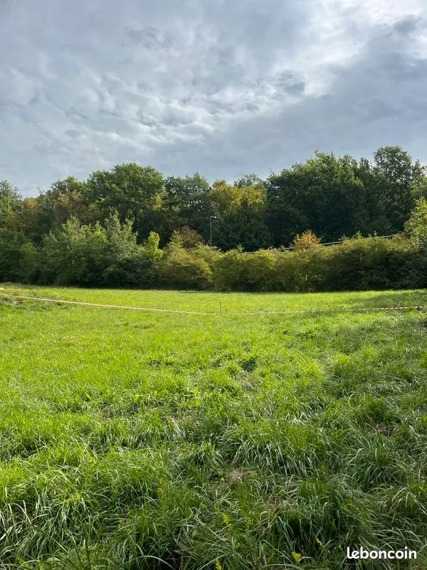 Terrain