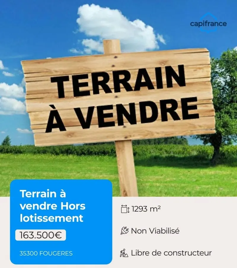 Terrain