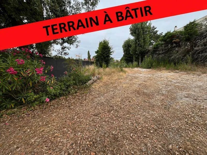 Terrain