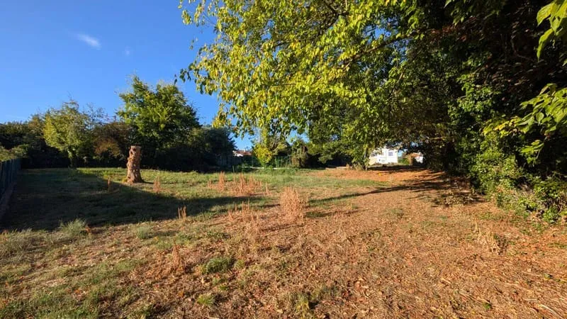 Terrain
