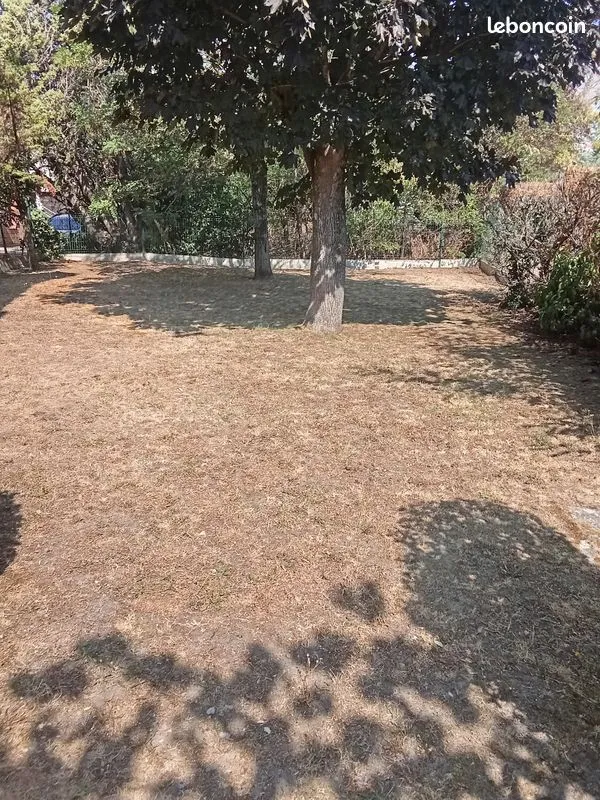 Terrain