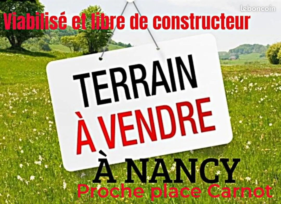 Terrain