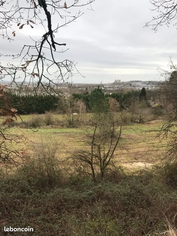 Terrain