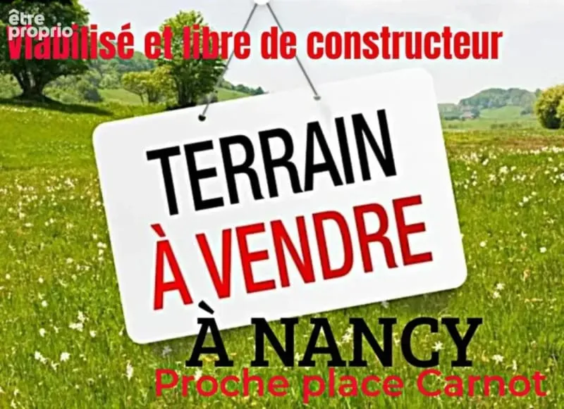 Terrain