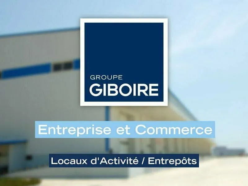 Local d'activité