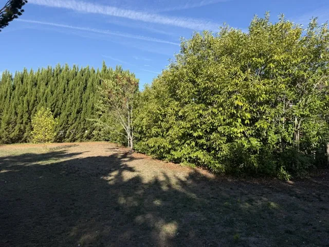 Terrain
