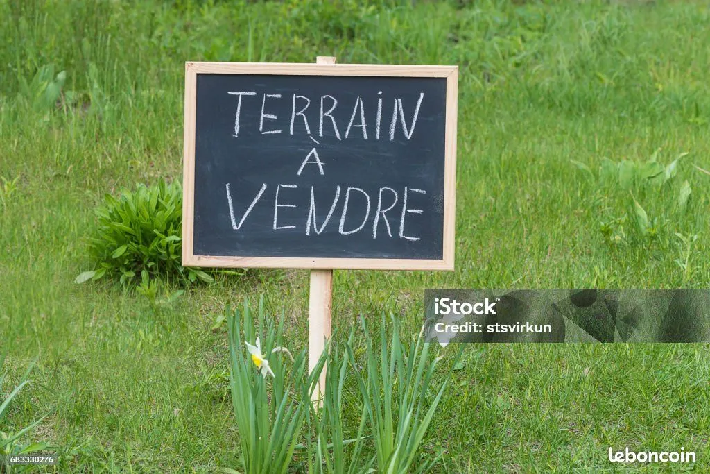 Terrain