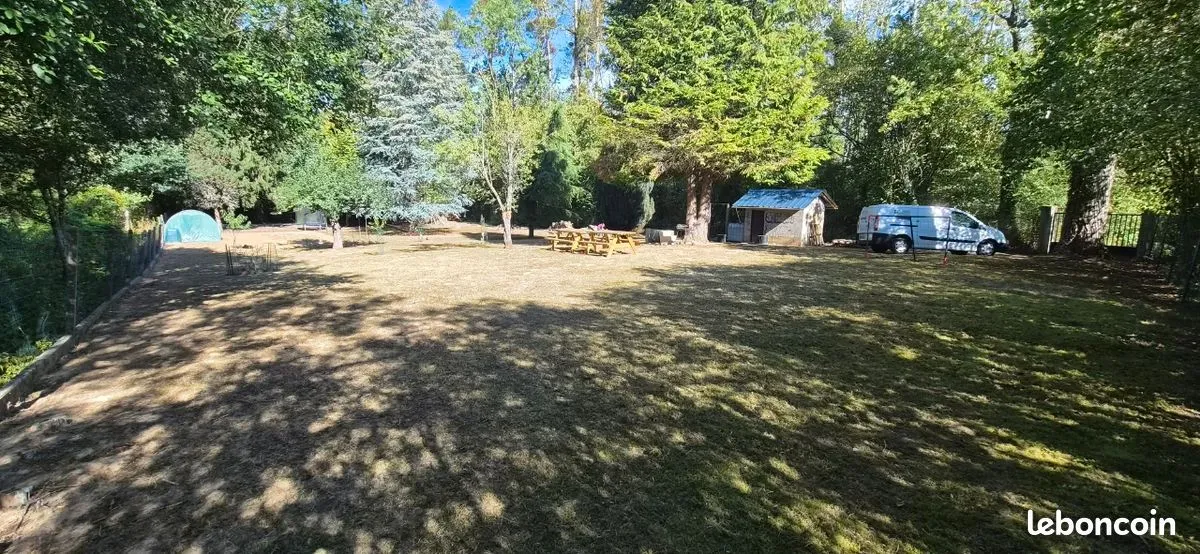 Terrain