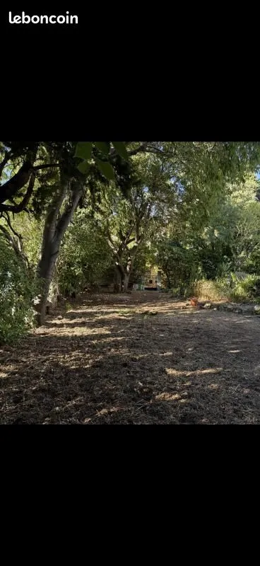 Terrain