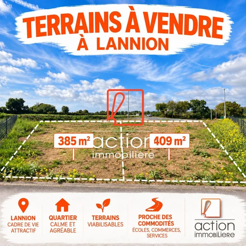 Terrain