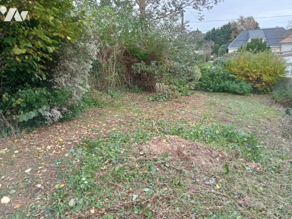 Terrain