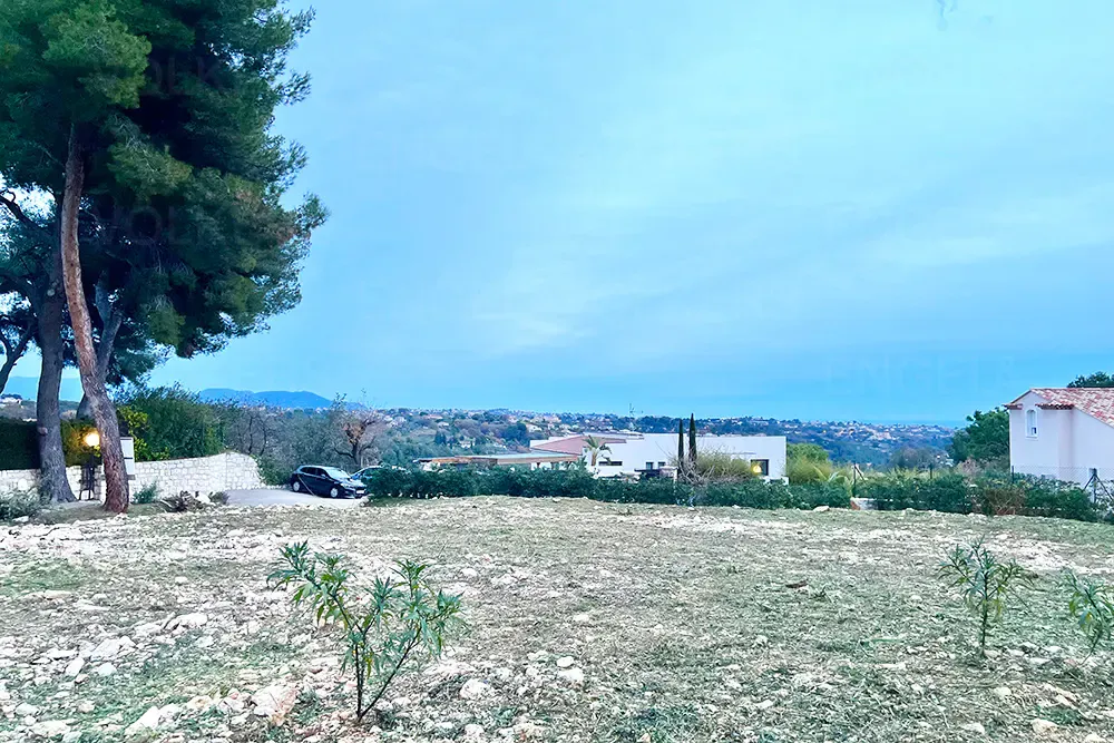 Terrain