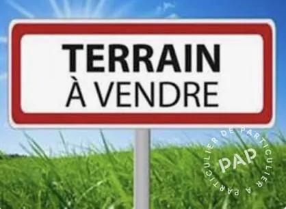 Terrain