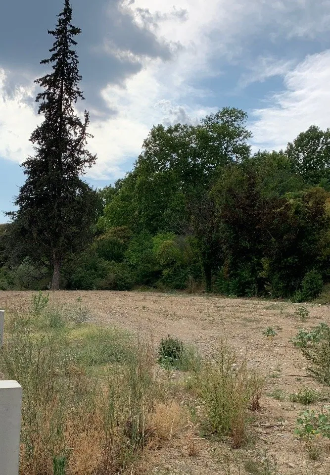 Terrain
