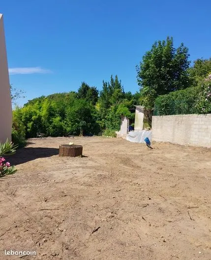 Terrain