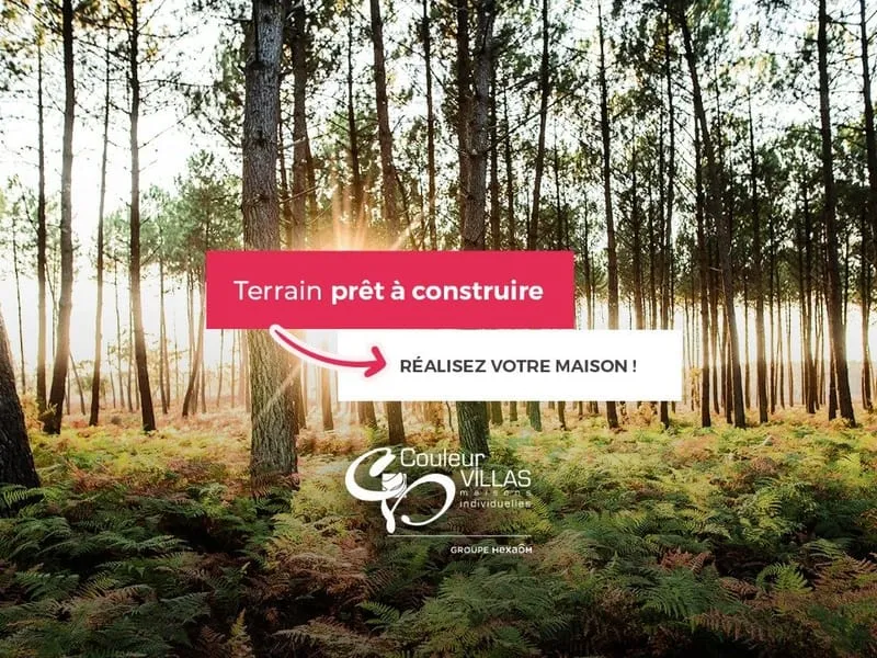 Terrain