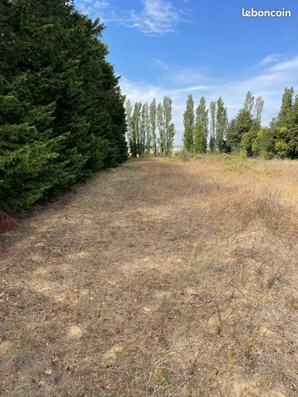 Terrain