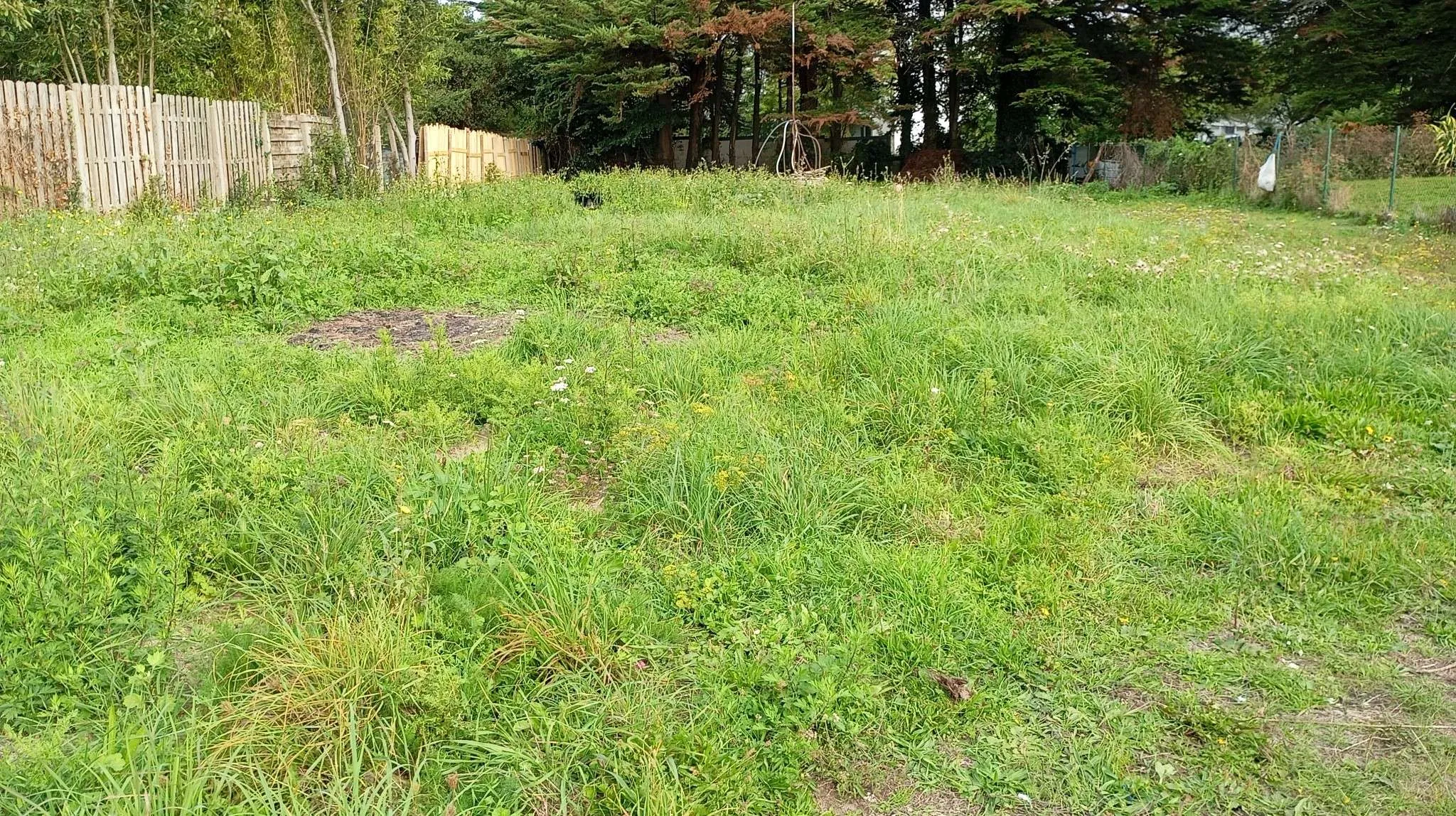 Terrain