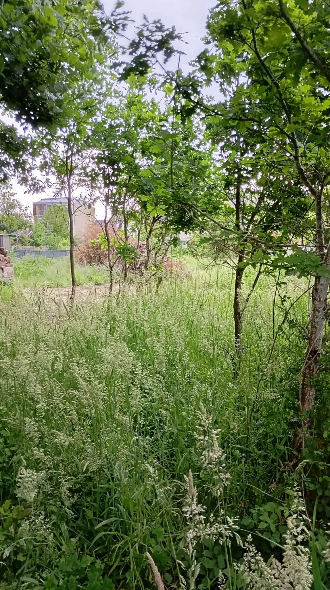 Terrain