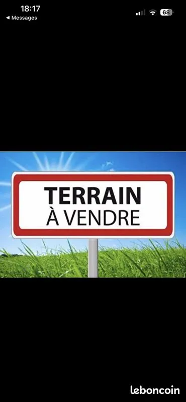 Terrain
