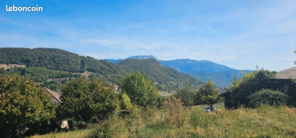 Terrain