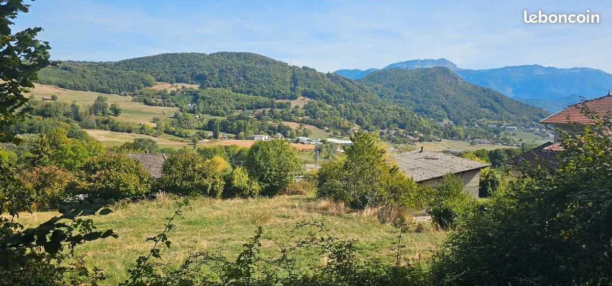 Terrain