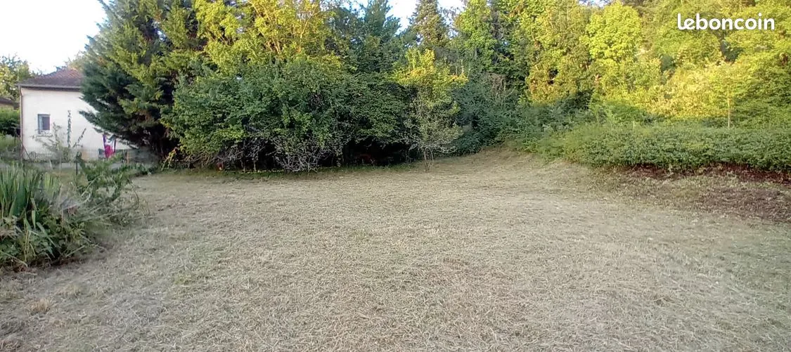 Terrain