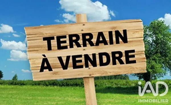 Terrain