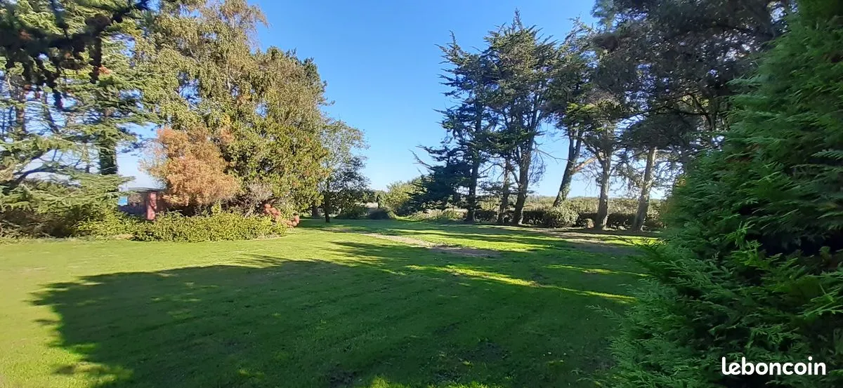 Terrain