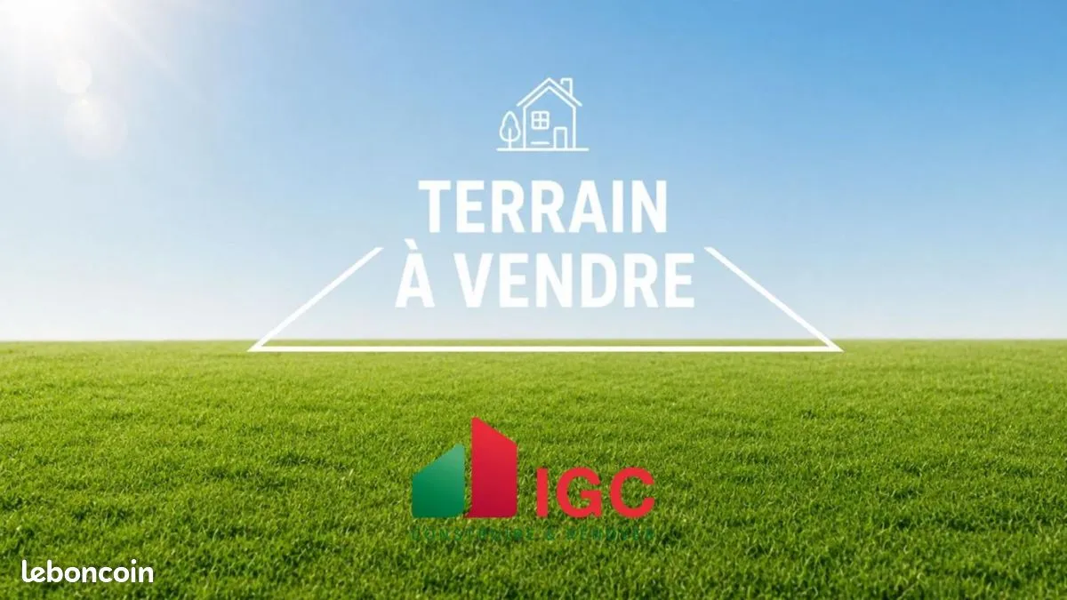 Terrain