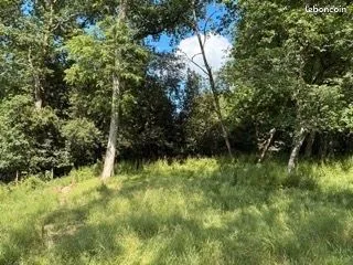 Terrain